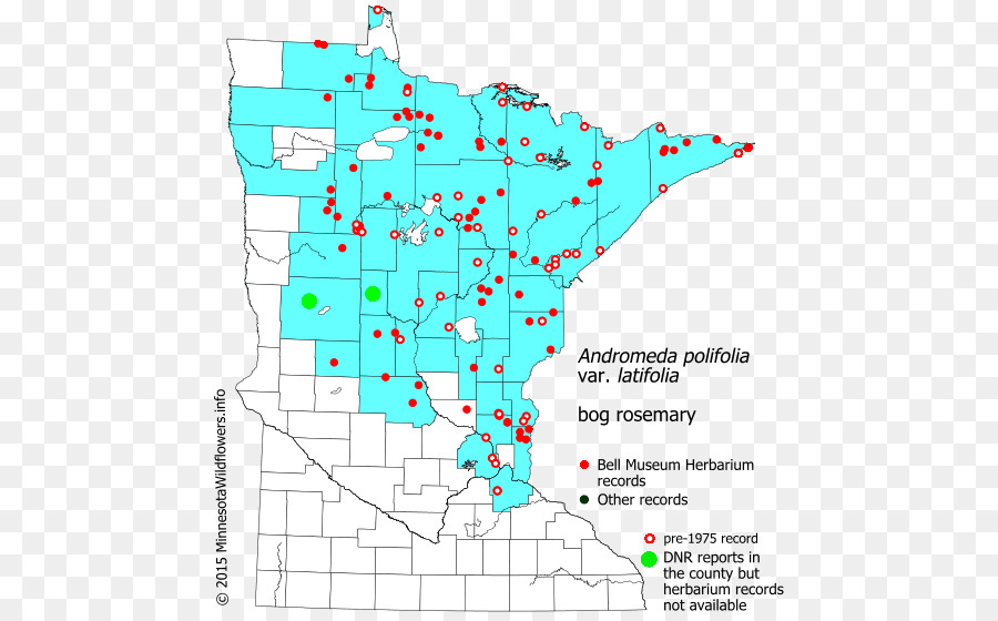 Minnesota-Karte Line-Grundstück-Punkt - Anzeigen