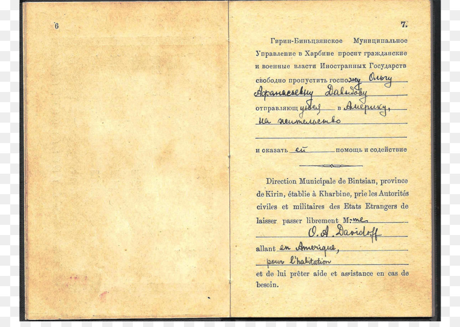 Documento Calligrafia Linea - passaporto diplomatico