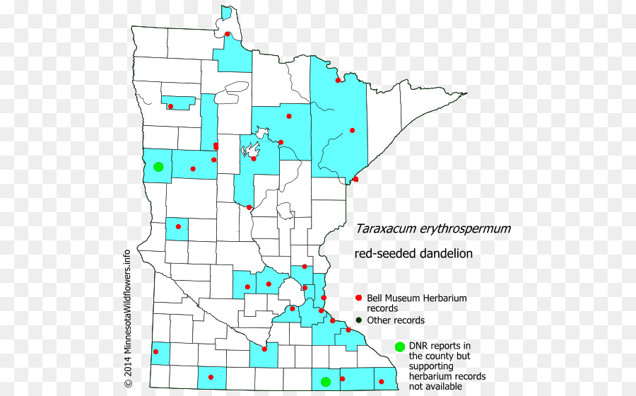 Minnesota Punto Linea lotto di Terreno Diagramma - linea