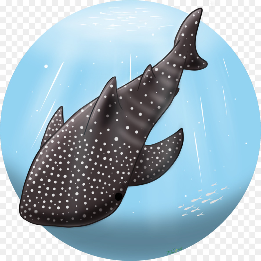 Shark Meeresbiologie, Dolphin - Hai