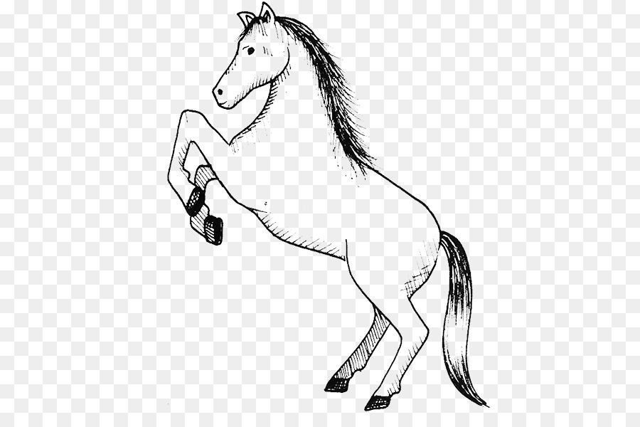 Con Ngựa Mustang Colt Bờm - học hành trình triển lãm