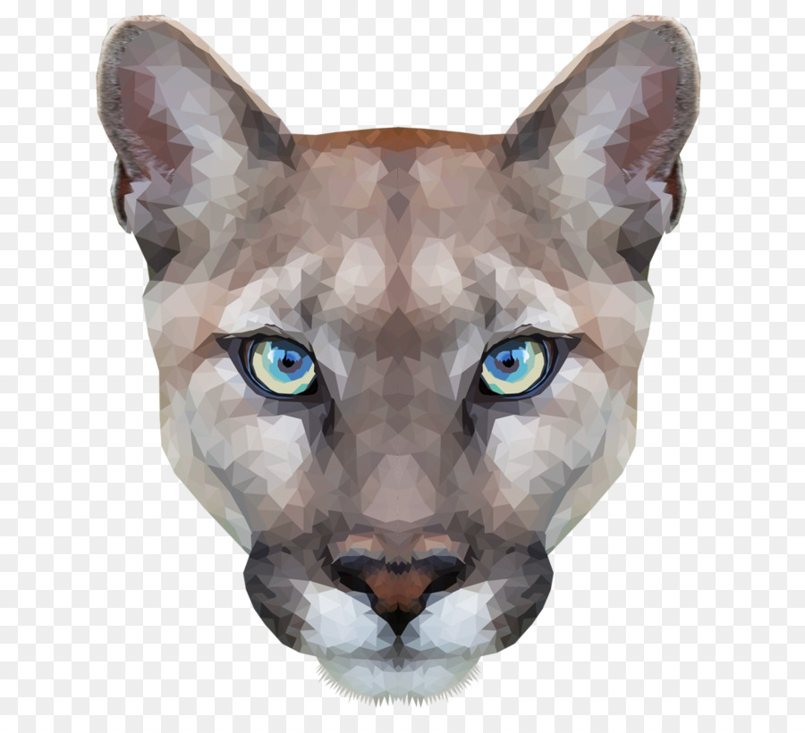 Cougar Cat - Katze