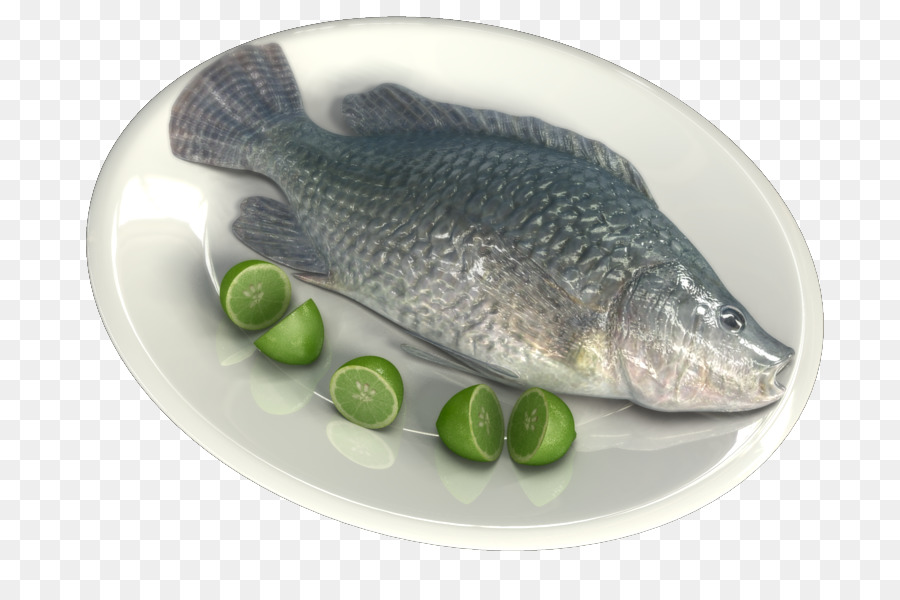 Salmone Pesce prodotti 09777 olio di pesce Tilapia - 3d di pesce