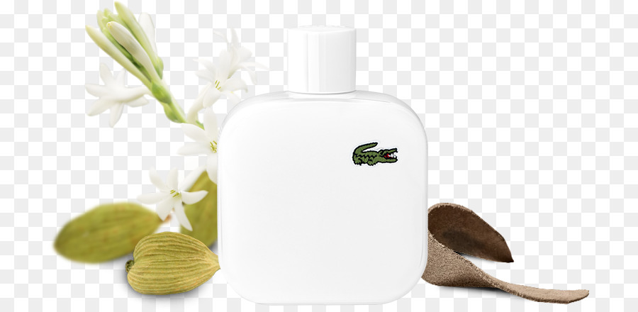 Parfüm Eau de toilette Lacoste-Duft-öl-Aftershave - frisches Wasser sprühen