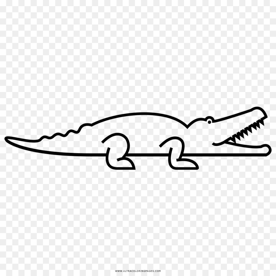 Cập nhật hơn 52 về hình tô màu con cá sấu  Du học Akina