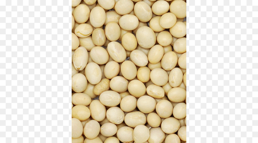 Soybean Nuts Seeds