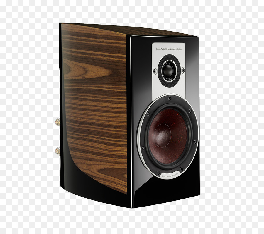 Danish Audiophile Loudspeaker Industries Sound High fidelity Akademie - DALI Lab