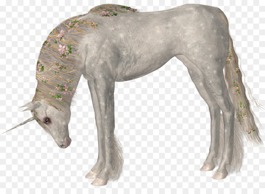 Con ngựa kỳ Lân Thần thoại Clip nghệ thuật - Con ngựa