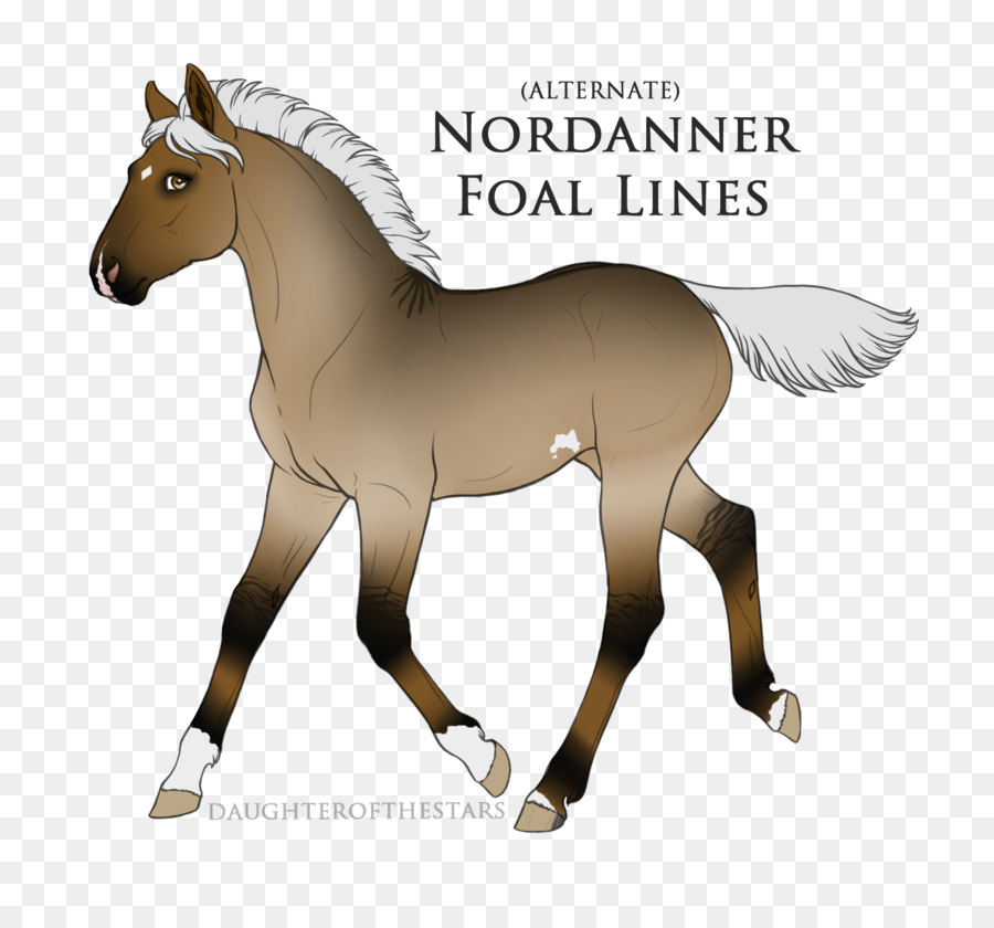 Puledro Stallone Pony Mare Mustang - mustang