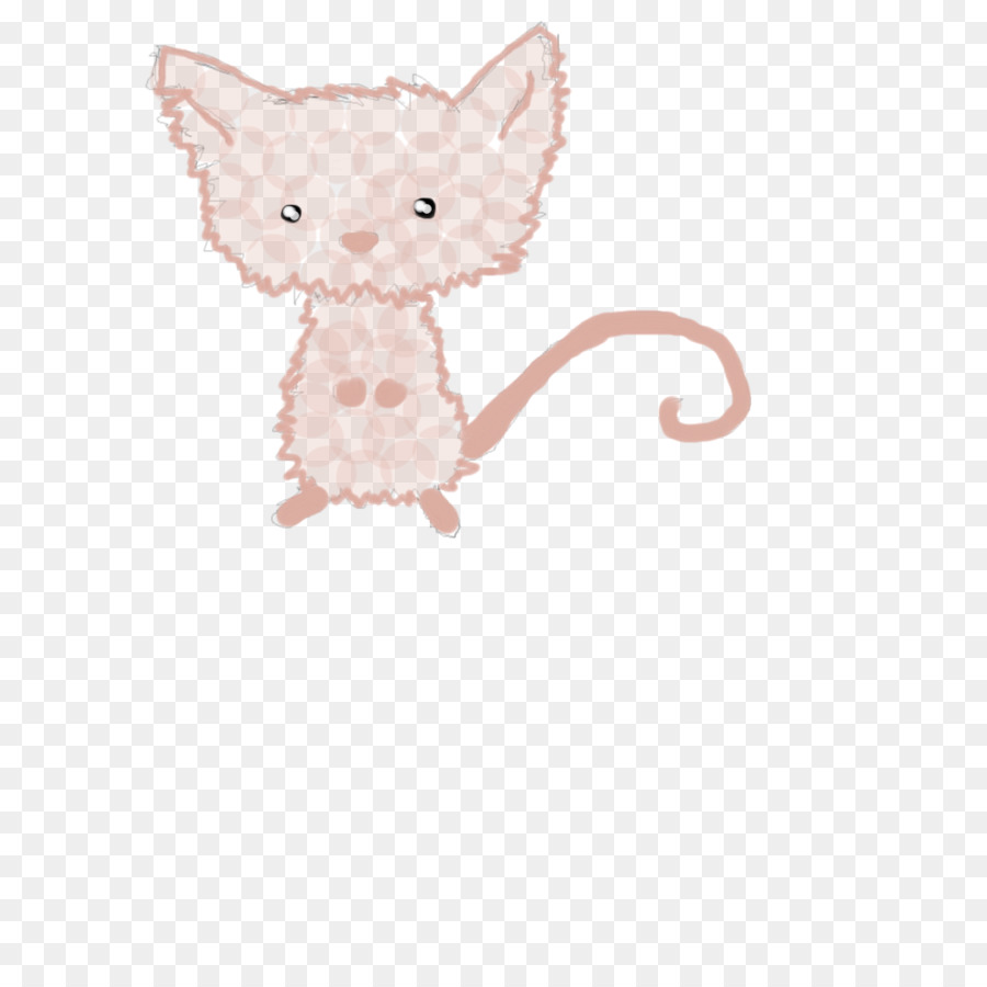 Kätzchen Schnurrhaare Maus Ratte Hund - Kätzchen