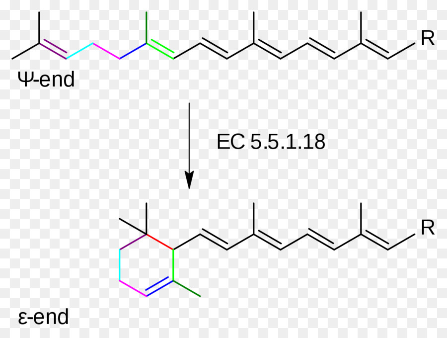 Lycopen epsilon cyclase Adenylyl cyclase Enzym Katalyse - andere