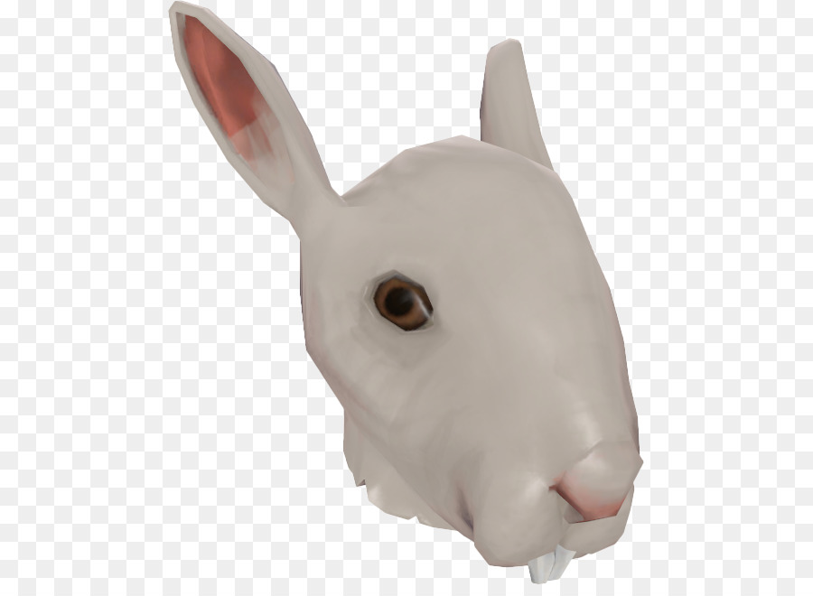 Heimische Kaninchen Schnauze Nase - Nase