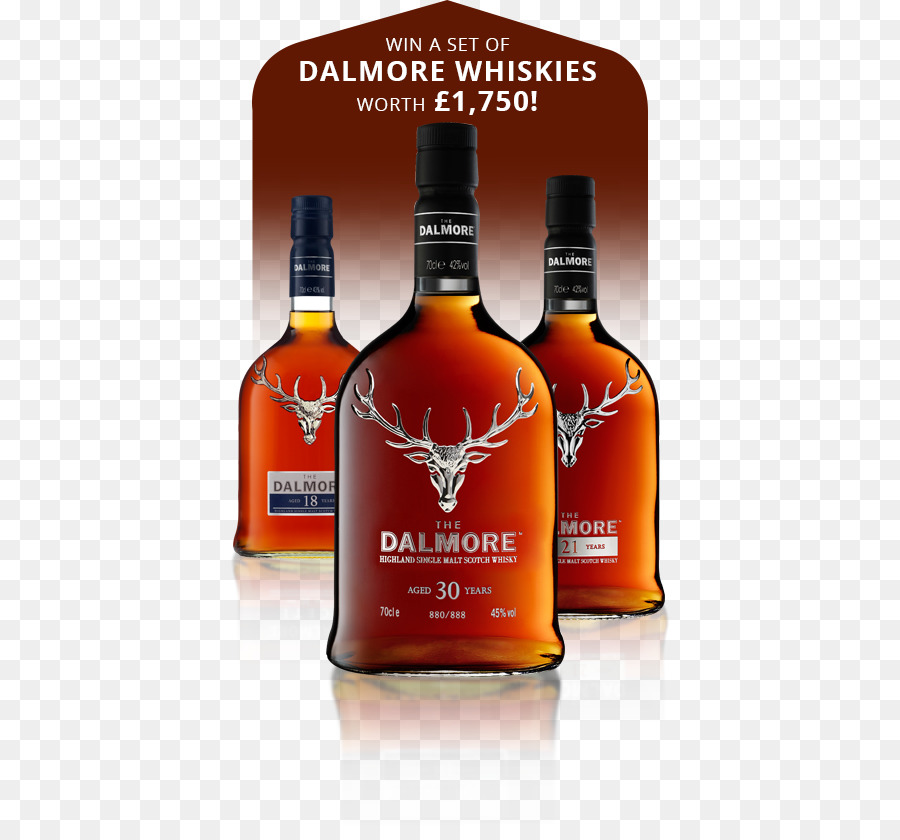 Likör Whisky Dalmore distillery Scotch whisky, Single malt whisky - shot Glas dessert