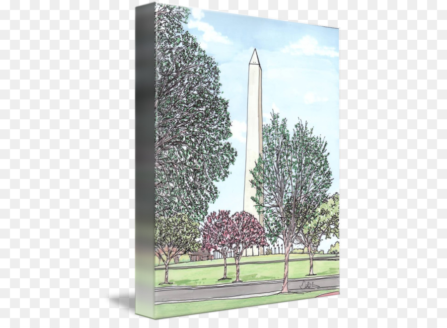 Baum Sky plc - Washington Monument