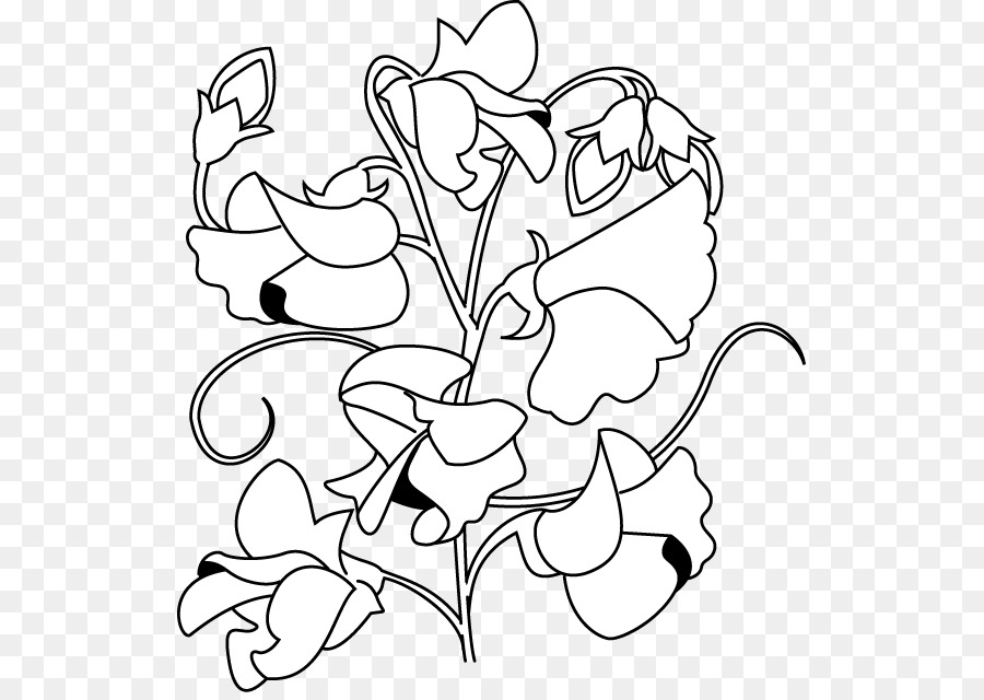 Hoa thiết kế Sweet pea Hoa Clip nghệ thuật - hoa