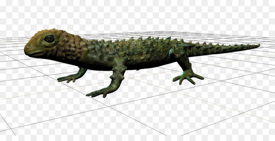 Gemeinsame Leguane Fauna Drachen Eidechsen, Terrestrische Tier - Reptil
