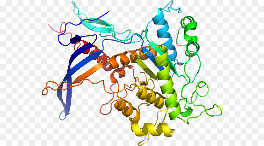 Protein disulfide isomerase Bond deusylffid Line Clip art - Linie