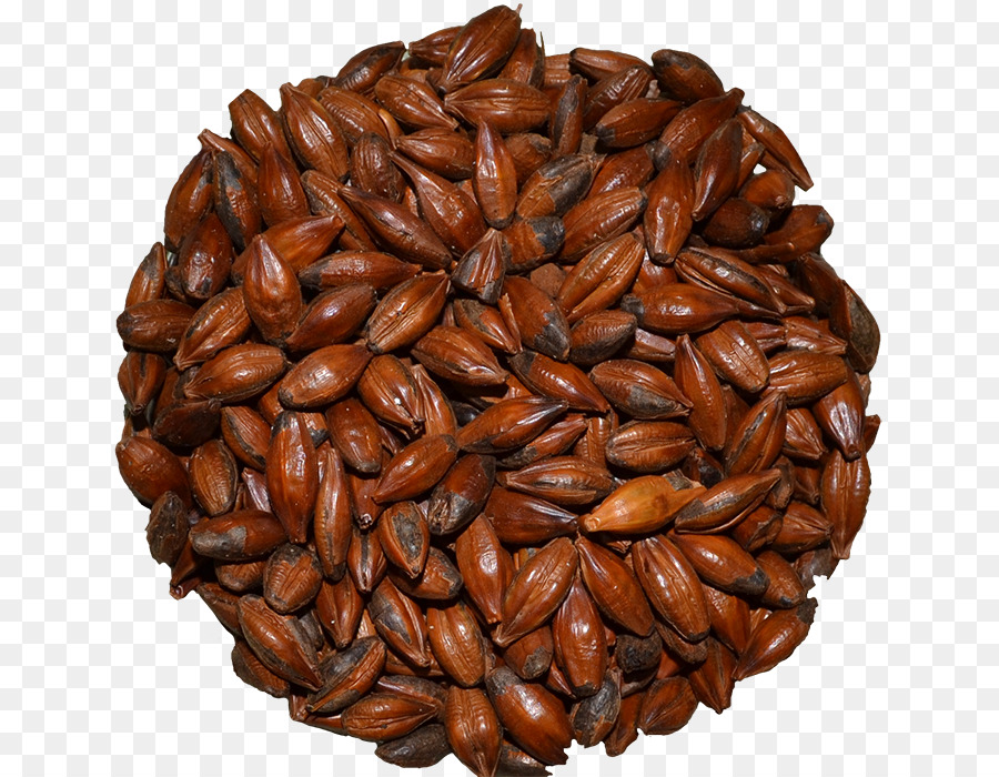 Commodity-Samen-Nuss - Körner von Kaffee