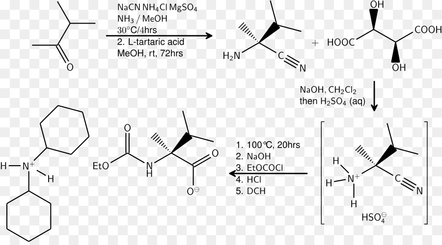 Strecker di aminoacidi di sintesi reazione Chimica Chimico - altri