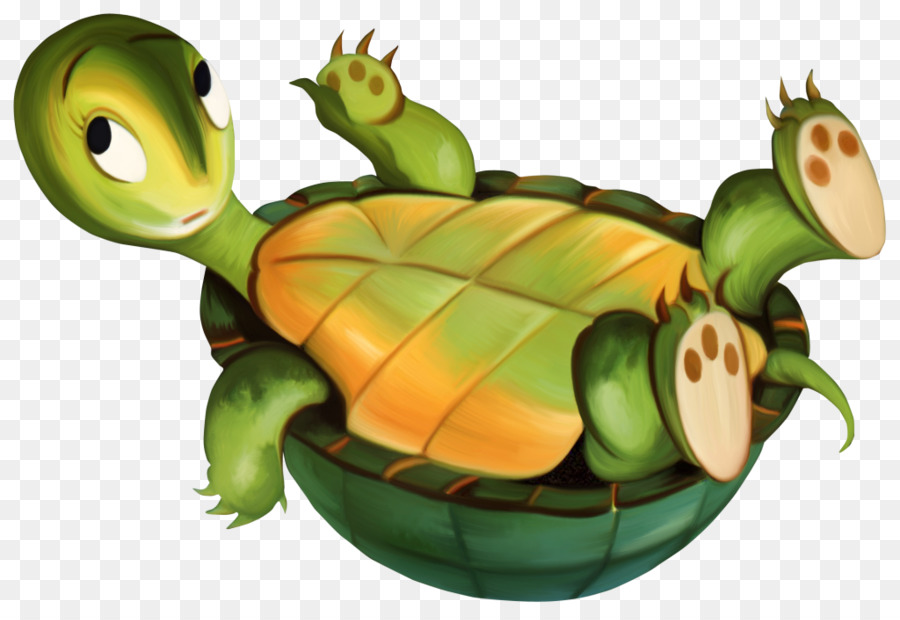Turtle Animaatio Clip-art - Schildkröte