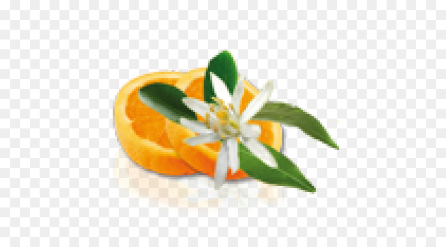 Fiori d'arancio acqua di fiori d'Arancio Crema di Sapore - arancione