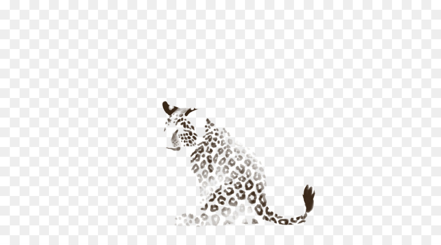 Gepard Leopard Jaguar Puma Schnurrhaare - Gepard