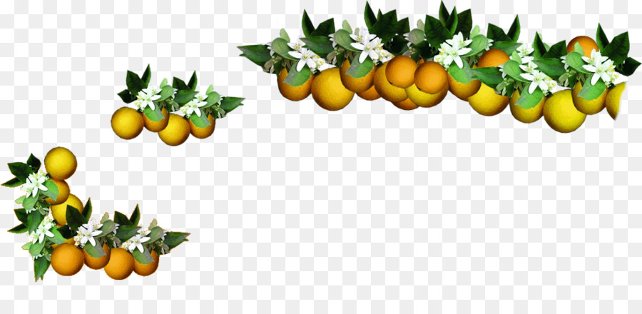 Orange Lebensmittel Rangpur - Grüne Äste