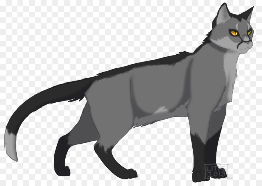 Gatto nero Gattino Malese gatto Korat Baffi - gattino