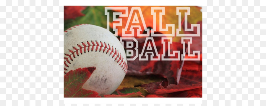 Little League Baseball Baseball-Schläger Sports league - baseball Turnier flyer