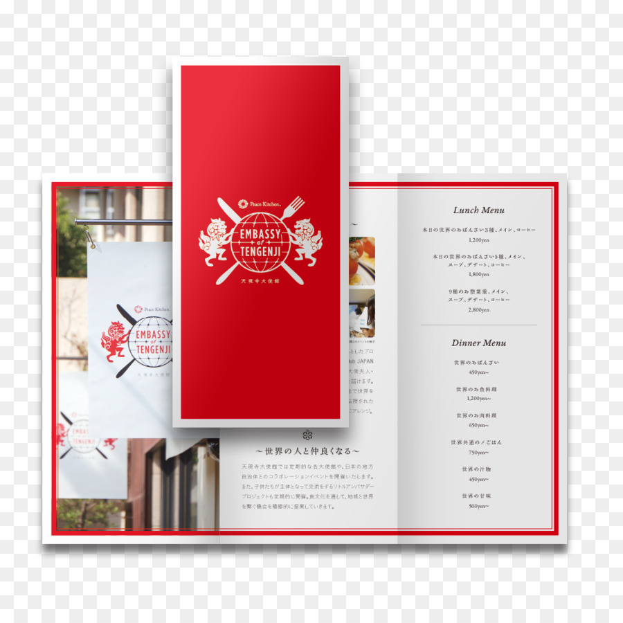 brochure - flyer design