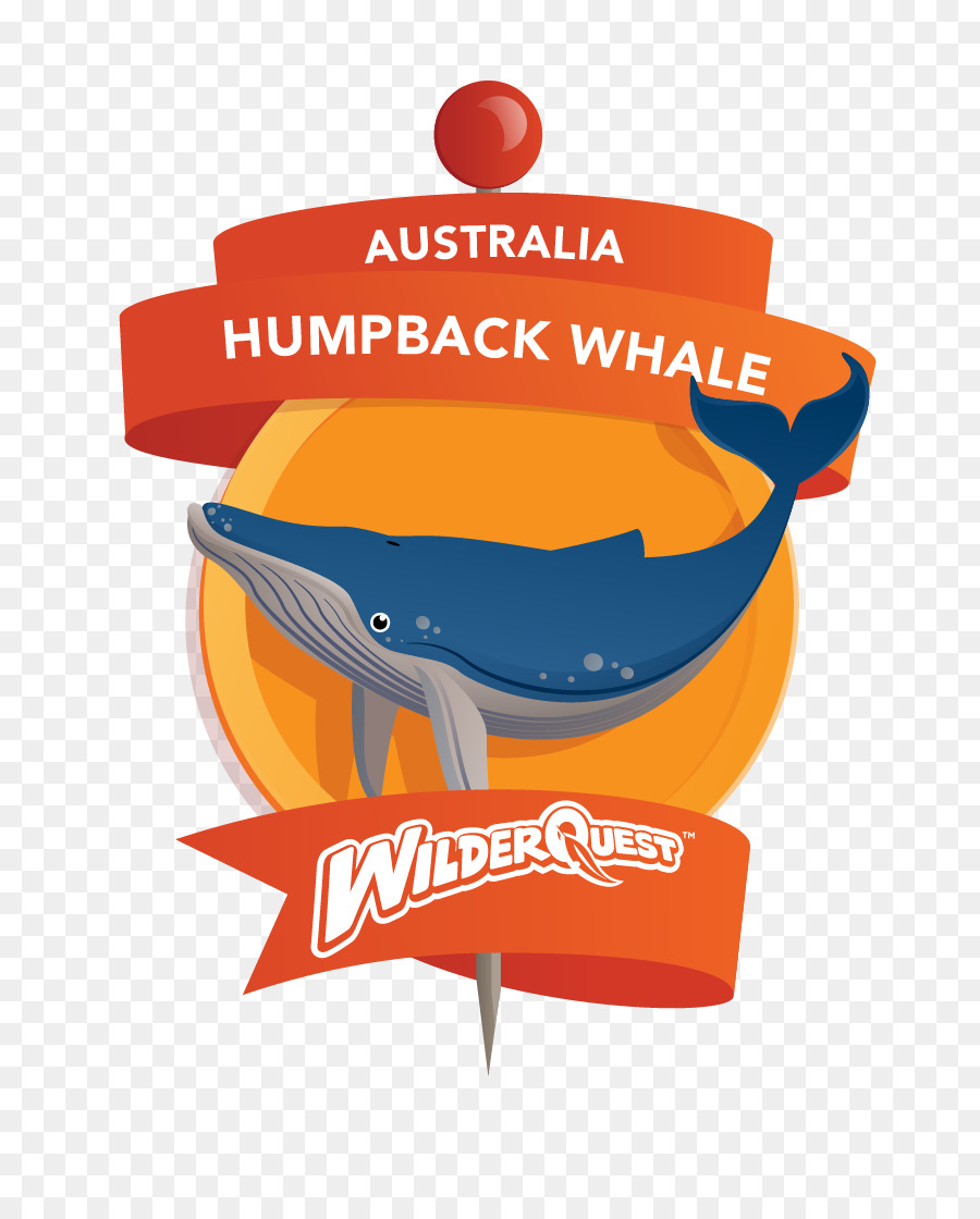 Biểu tượng con cá voi lưng Gù Ngoài - cá voi lưng gù