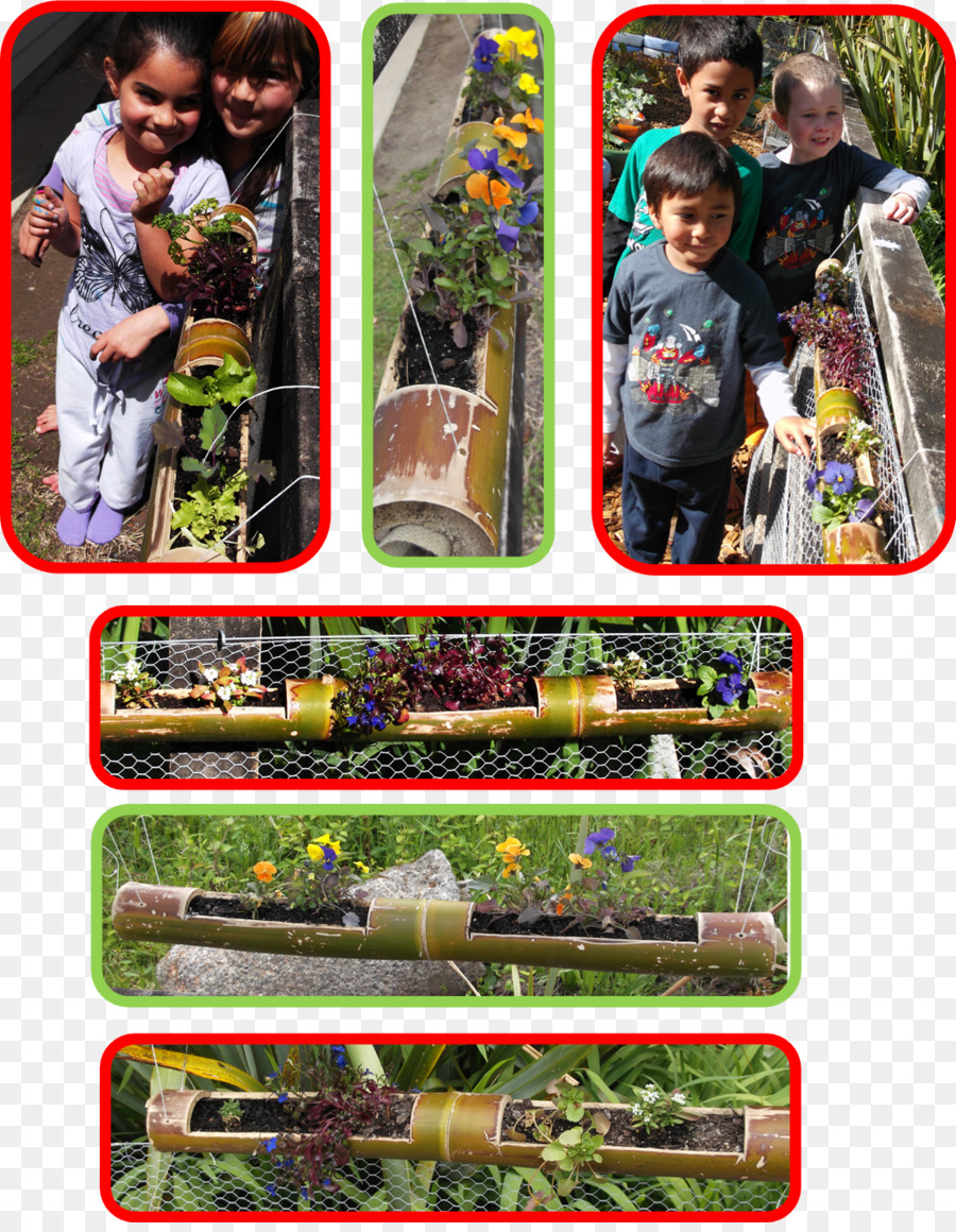Karetu Schule Gartenarbeit TUI Gruppe Tracey Dee - Bambus Zaun