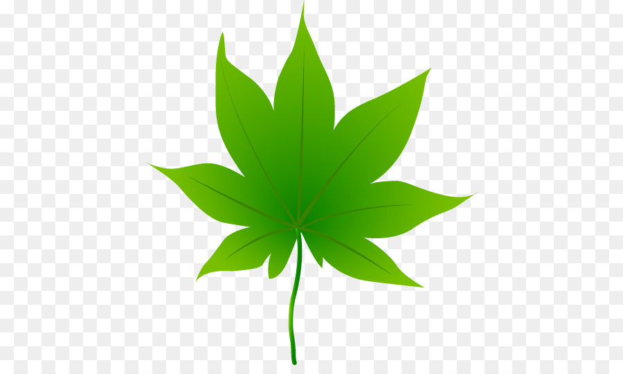 Cannabis sativa, Cannabis ruderalis - Blatt illust