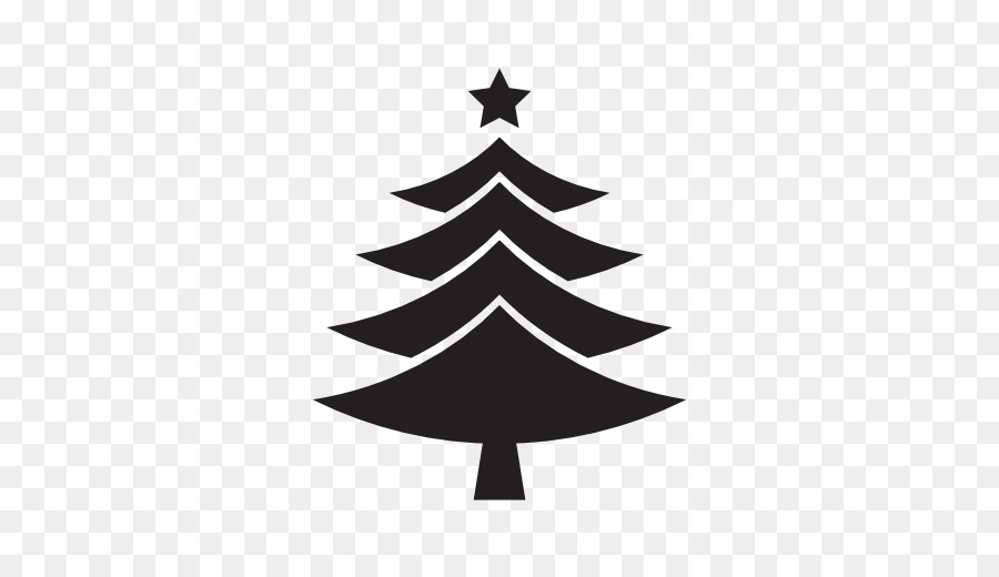 Weihnachtsbaum Kiefer - Weihnachtsbaum