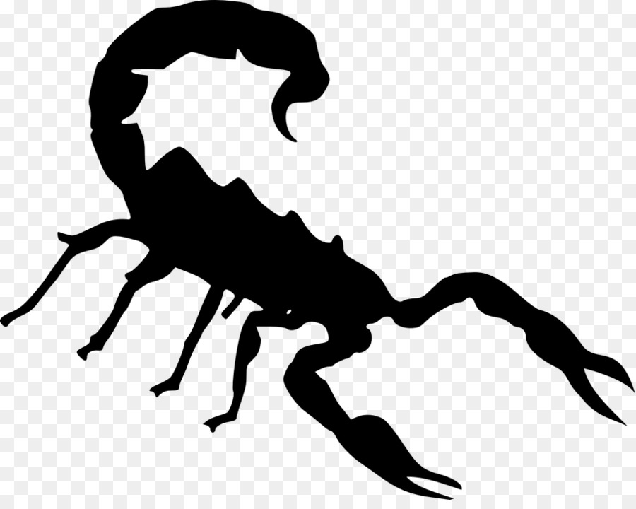 Scorpion Clip art - Skorpion