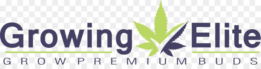 Business In Crescita Elite Marijuana Organizzazione Finanziaria - attività commerciale