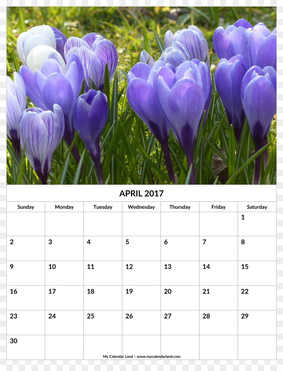 Kalender Mindsoother Therapie Zentrum 0 April März - Kalender april