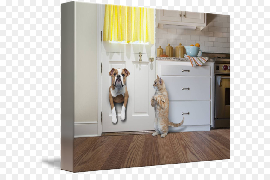 Bulldog Pet Tür Cat-Interior-Design-Dienstleistungen - Katze