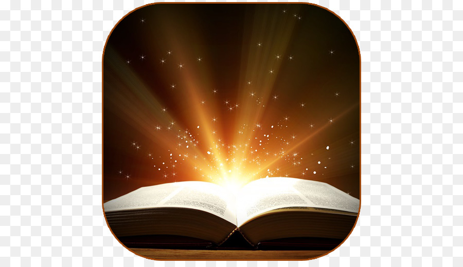Kinh Thánh Cuốn Sách Viết Tiểu Thuyết Đọc - Cuốn sách