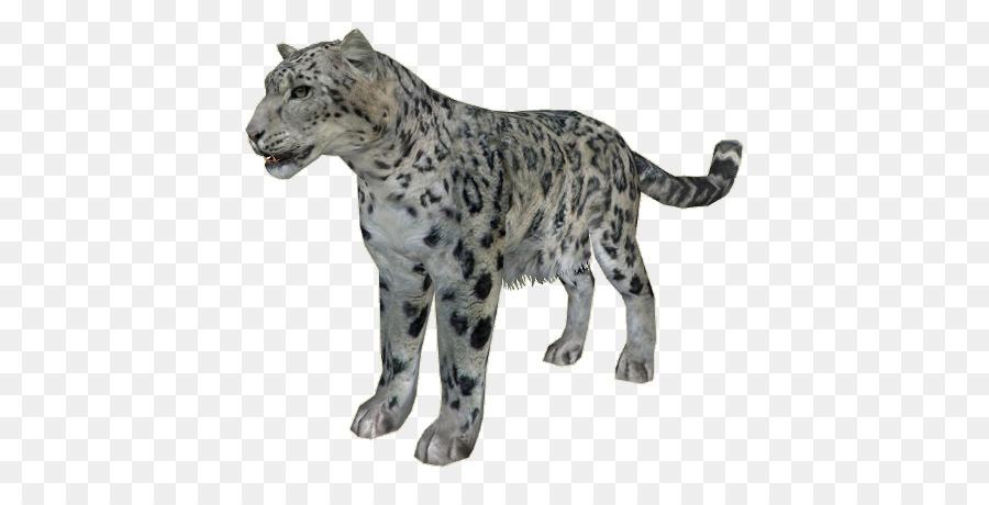 Tuyết báo Cheetah Thú ông Trùm 2 họ mèo - snowleopard