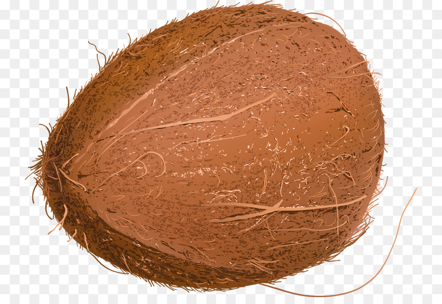 Coconut Cartoon