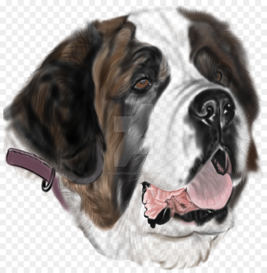 St. Bernard Hund Rasse Zeichnung Tattoo Such und Rettungshunde - andere