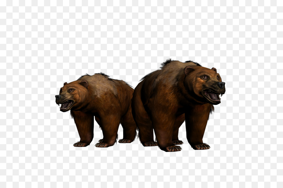 Con gấu Alaska bán Đảo gấu nâu trên mặt Đất động vật hoang Dã - Gấu