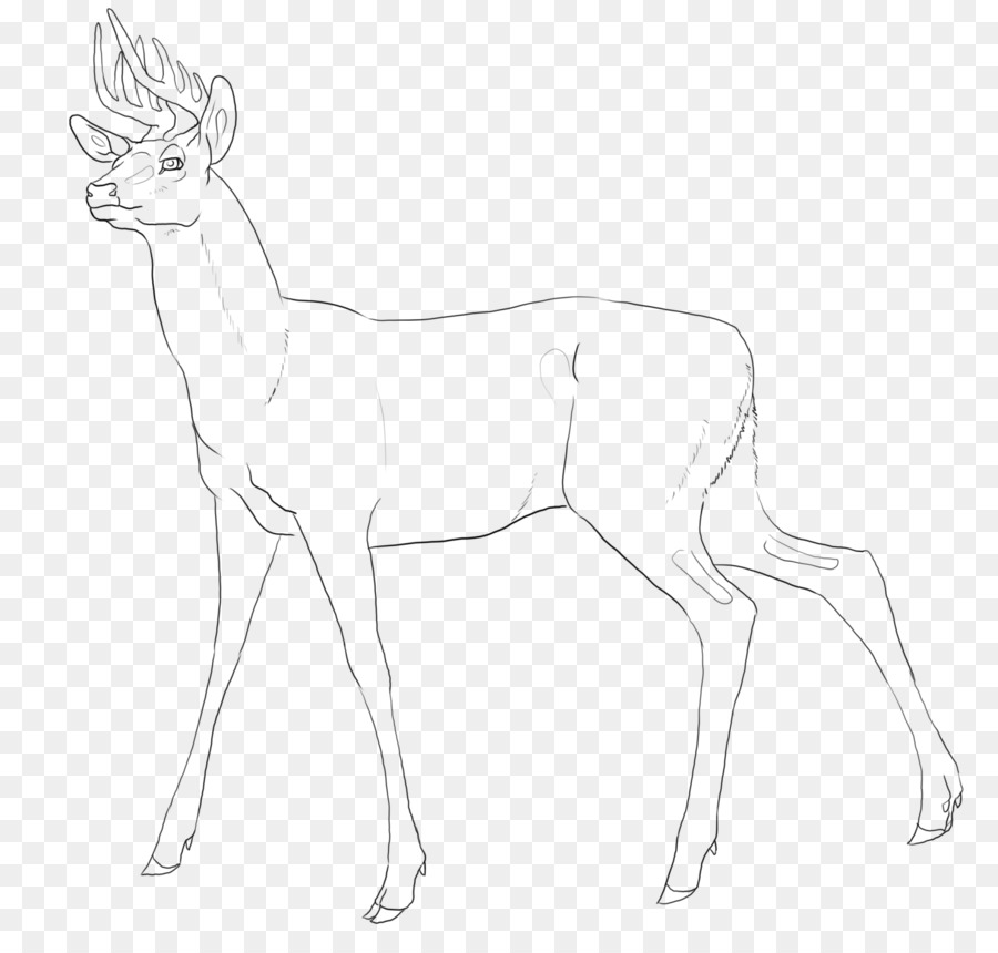 Renna Antilope Linea arte Bianca branco di animali - renna