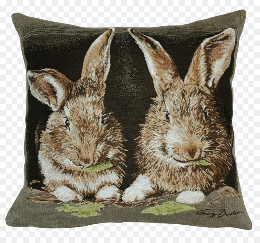 Heimische Kaninchen Kissen Kissen Europäische Kaninchen - Kissen