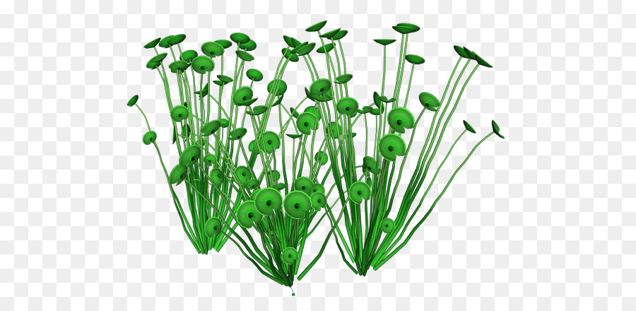 Blatt-Gemüse-Kräuter-Topf-Pflanze-Stiel - Meer Pflanzen