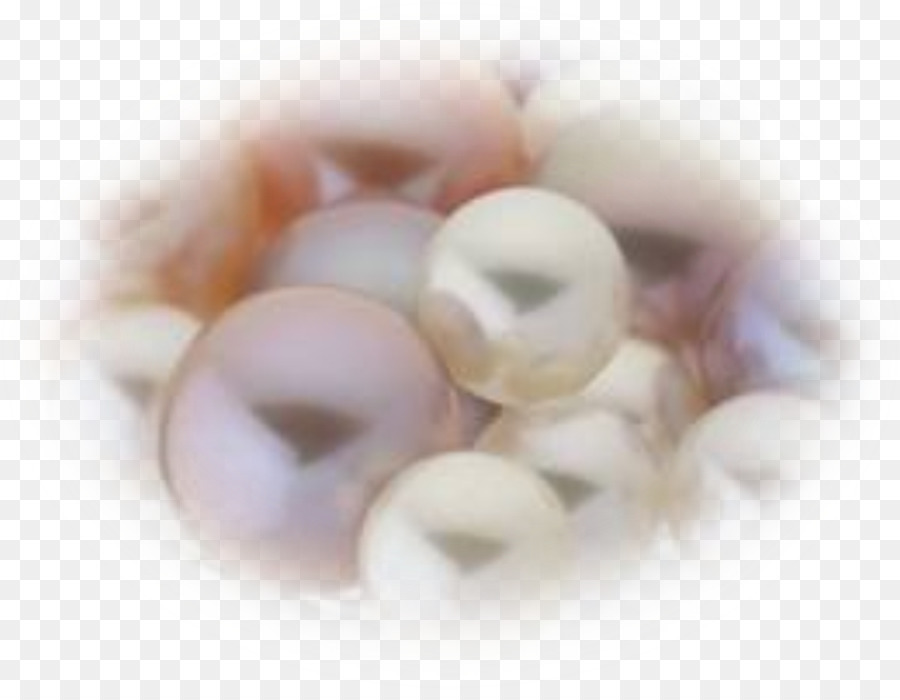 Perla Regalo - perla
