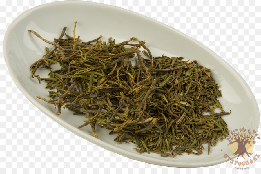 Nilgiri-Tee-Weißer Tee Dianhong-Tee-pflanze - Tee