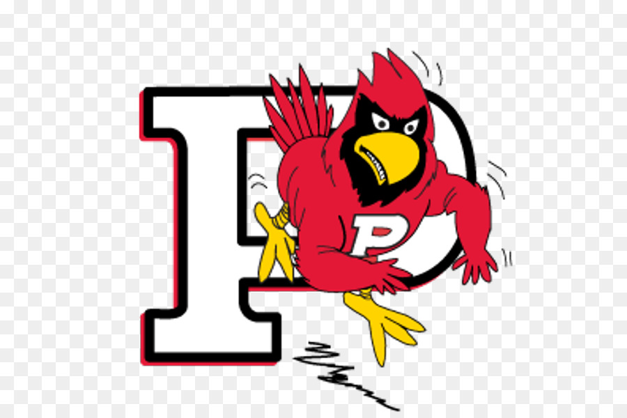State University of New York at Plattsburgh Mount Saint Mary College der State University of New York College at Buffalo Plattsburgh Cardinals Herren basketball team der NCAA Division III - andere