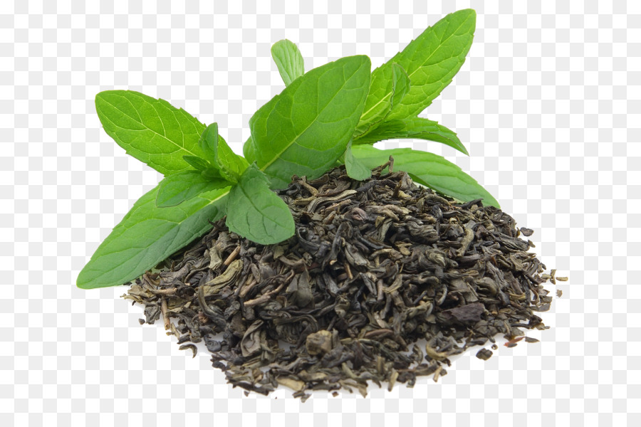 Verde, tè Assam, tè Oolong tè Matcha - tè verde